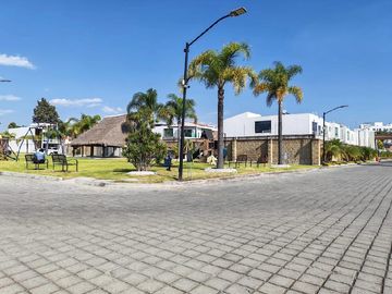 place photo 22