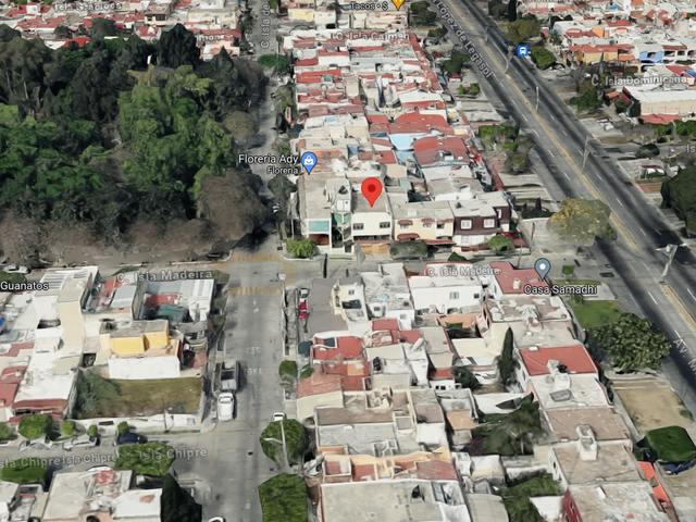 place photo 15