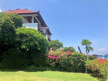 place photo 20