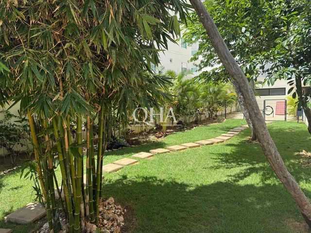 place photo 45
