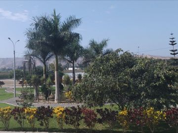 place photo 17