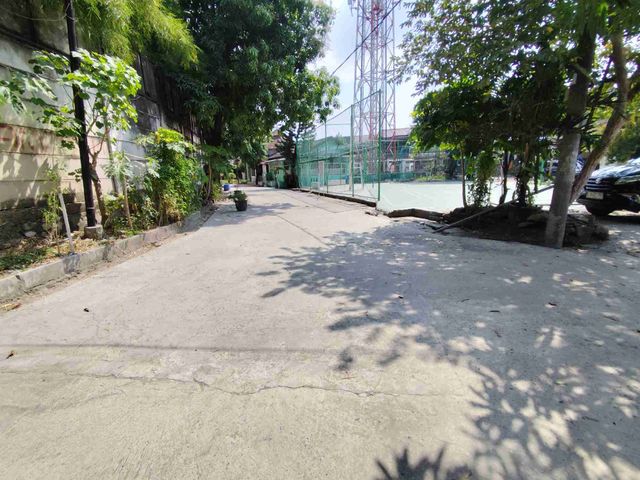place photo 13