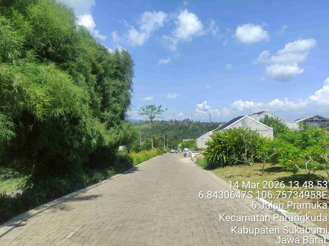 place photo 17