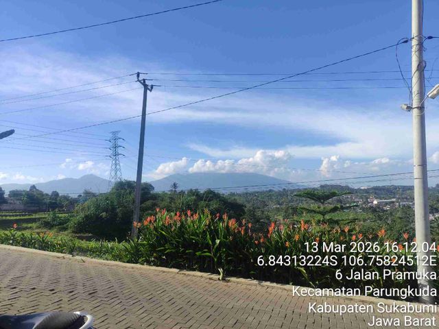 place photo 15