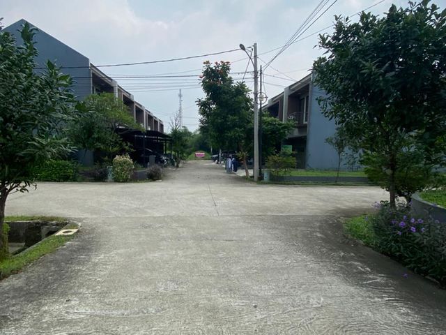 place photo 19