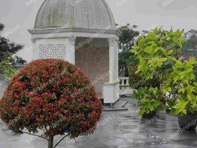 place photo 10