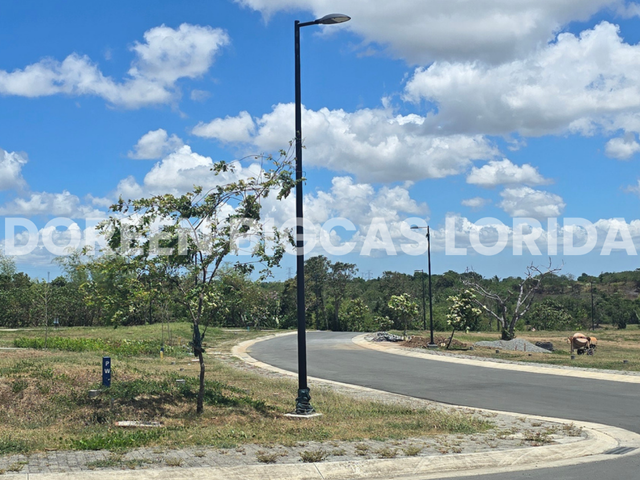 place photo 24
