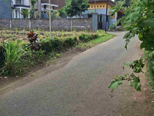 place photo 3