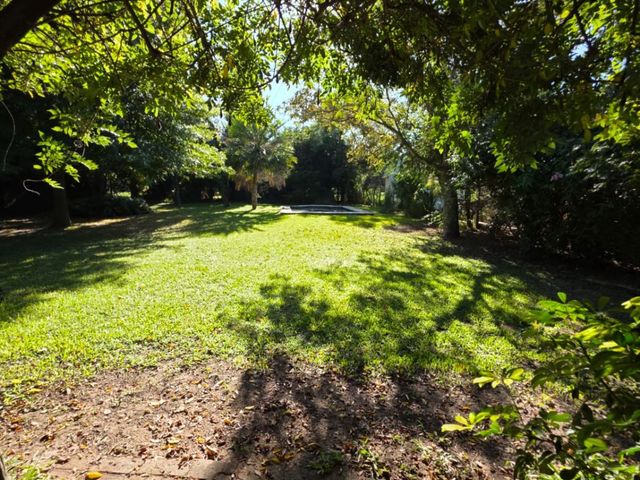 place photo 31