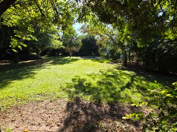 place photo 31