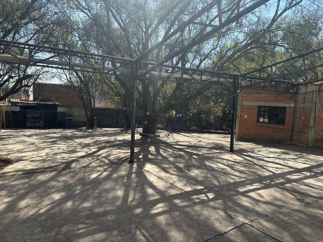 place photo 18