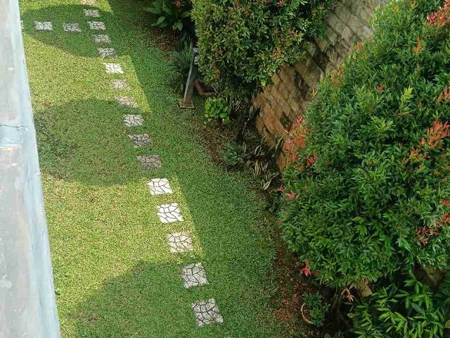 place photo 33