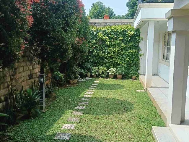 place photo 37