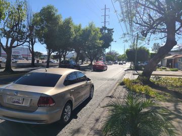 place photo 40