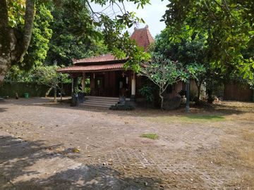 place photo 12