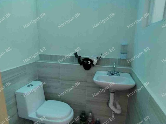 place photo 31