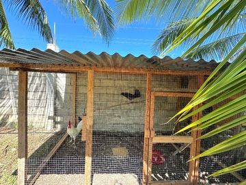 place photo 36