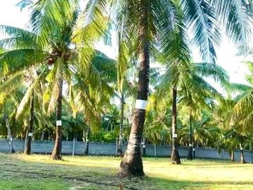place photo 23