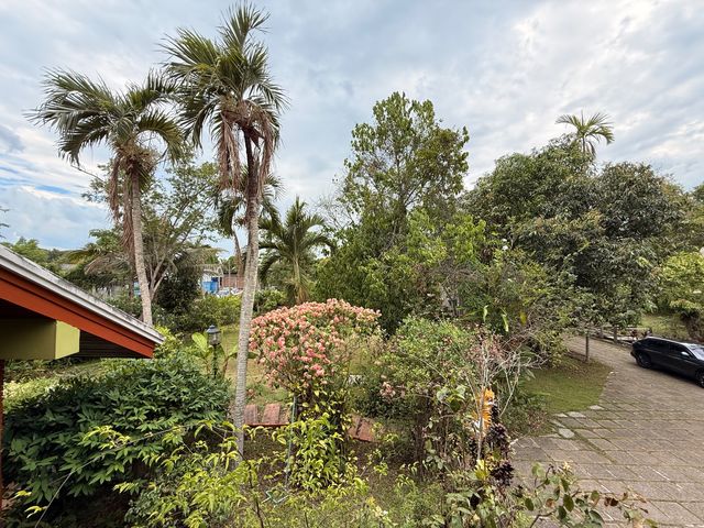 place photo 41