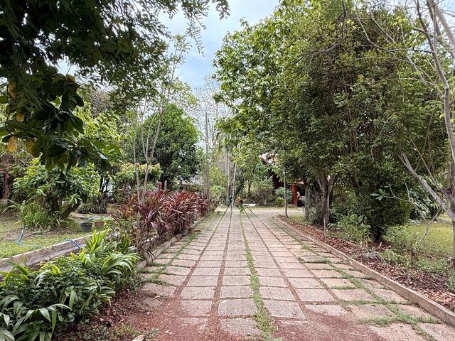 place photo 49