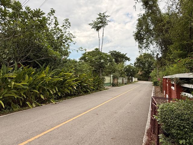 place photo 54