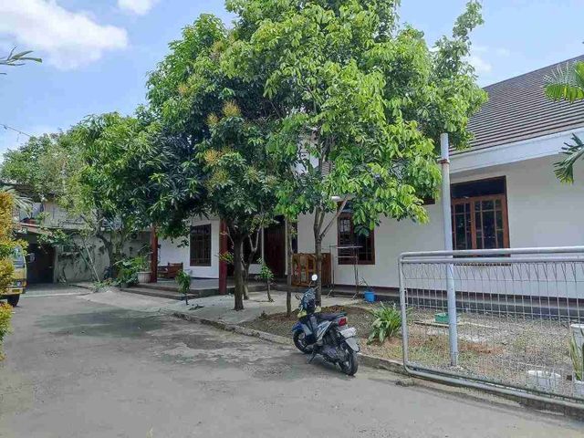 place photo 21