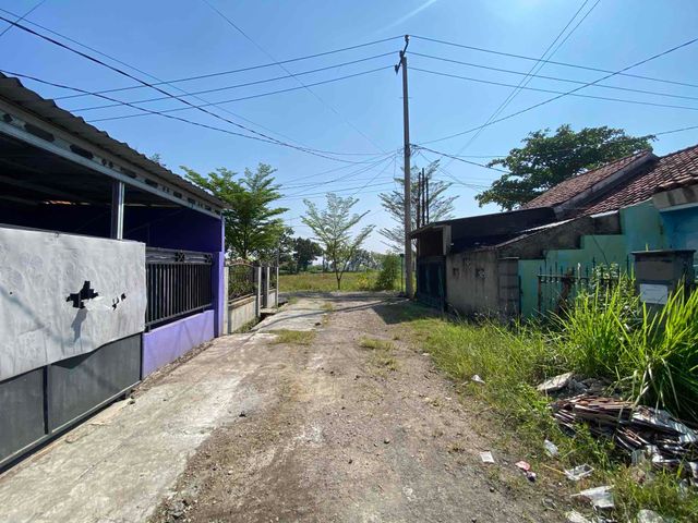 place photo 4