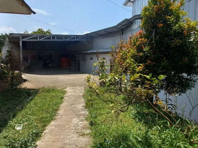 place photo 19