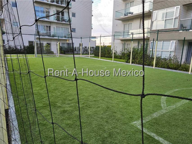 place photo 32