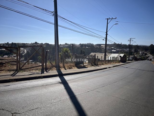place photo 12