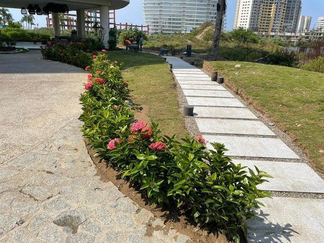 place photo 18