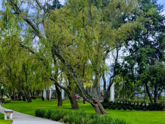 place photo 13