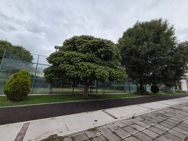 place photo 30