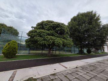 place photo 30
