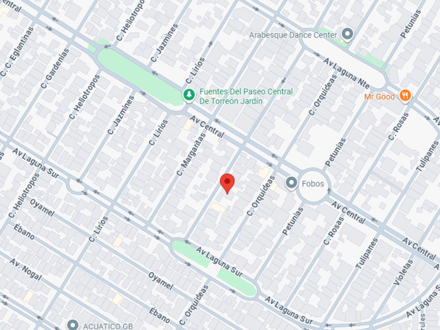 place photo 16