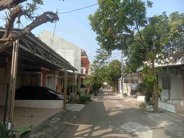 place photo 13