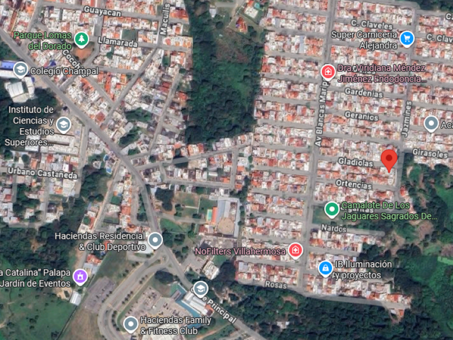 place photo 9