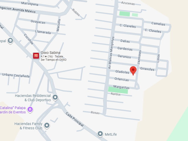 place photo 10