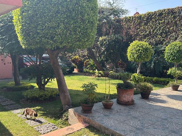 place photo 36