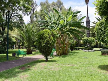 place photo 15