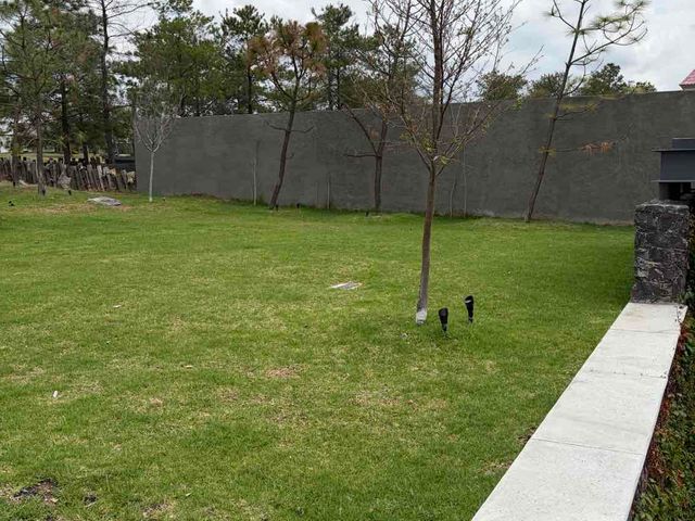 place photo 41