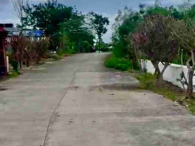 place photo 9
