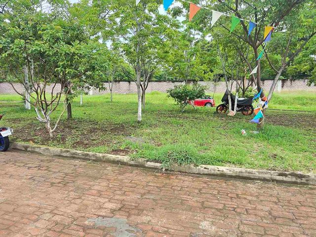place photo 16