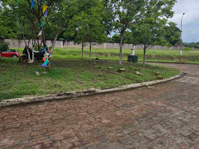 place photo 17