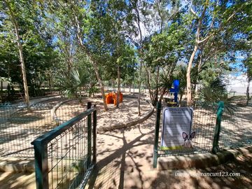 place photo 28