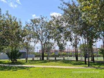 place photo 29