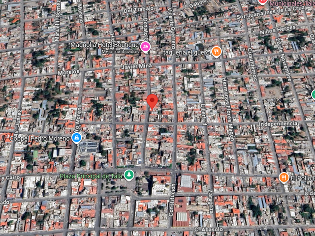 place photo 12
