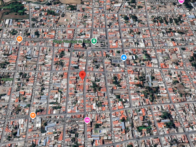 place photo 14