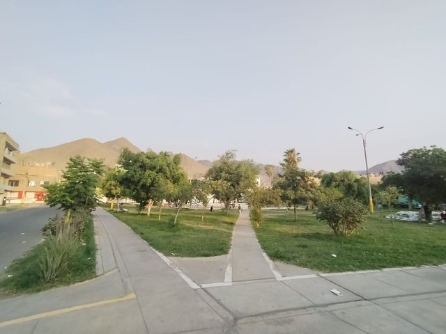 place photo 17