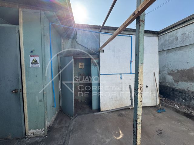 place photo 36
